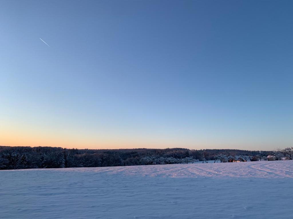 Modernes Ferienhaus Im Schwarzwald Freiamt Exterior foto